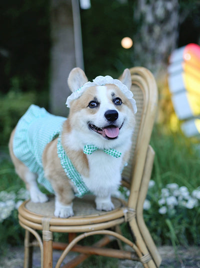 Pet Dress with Hat Fat Dog Clothes Summer Thin Breathable Plaid Skirt Suit Corgi Medium-Sized Dog