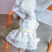 Dog Princess Dress stylish and adorable outfit 1627207:3232480#122216750:2488448565 $ Beautiful collection under $10 IPPA Phones