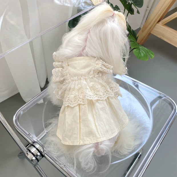 KZ Homemade Light Oat Color-Color Lace Skirt South Korea Maltese Small Size Dogs Pack Pet Dog Clothes Spring & Fall