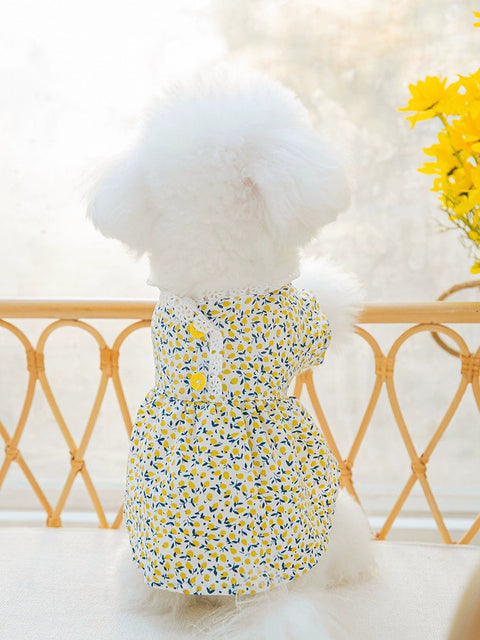 Floral Dog Clothes Spring/Summer Thin Teddy Bichon Pomeranian Cat Pet Small Puppies Summer Princess Skirt 1627207:26086449#122216750:5577183668 $ Beautiful collection under $10 IPPA Phones