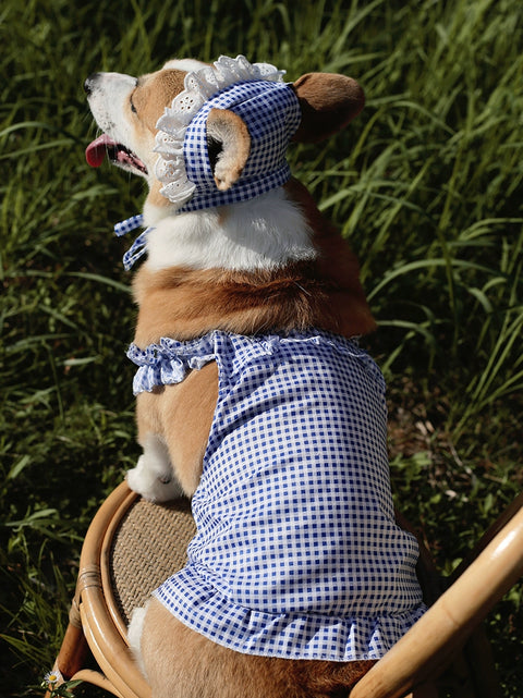 Pet Dress with Hat Fat Dog Clothes Summer Thin Breathable Plaid Skirt Suit Corgi Medium-Sized Dog