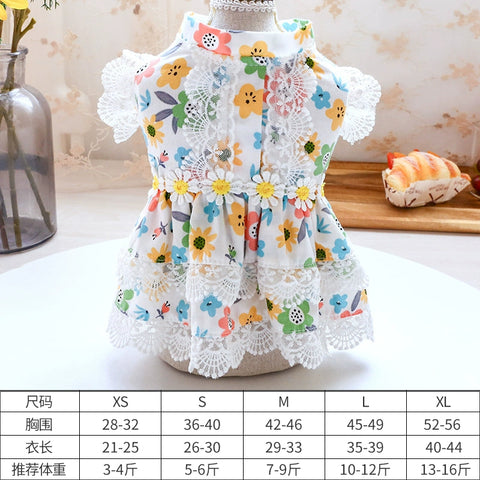 Choose 3 Dog Clothes Clothes Pet Cat Dress Teddy Bichon Skirt Princess Dress Pettiskirt 1627207:18699267437#122216750:12788677537 $ Beautiful collection under $10 IPPA Phones