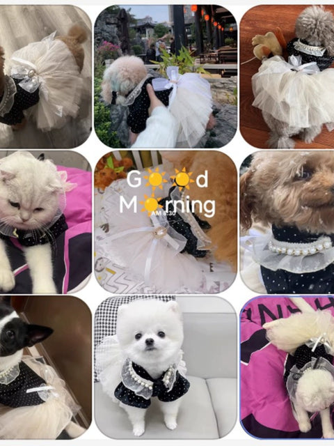 Bubble Rice Sauce Polka Spring & Fall Pet Clothes Teddy Wedding Dress Dog Princess Dress Maltese Cat Skirt