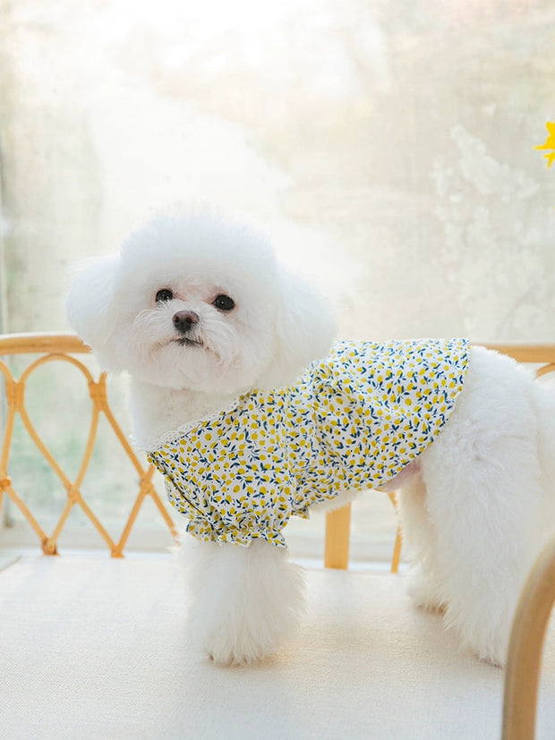 Floral Dog Clothes Spring/Summer Thin Teddy Bichon Pomeranian Cat Pet Small Puppies Summer Princess Skirt 1627207:26086449#122216750:5577183668 $ Beautiful collection under $10 IPPA Phones