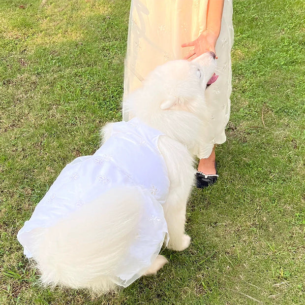 Dog Wedding Dress Medium and Large Size Dog Wedding Dress Princess Dress Samo Golden Retriever Automobiles Curtain Dress Dog Dress 1627207:25509711127#122216750:42189994 $ IPPA Phones