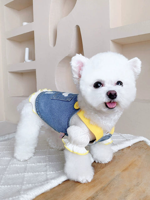 Chicken Denim Suit Cat Pet Dog Clothes Summer Teddy Bichon York Summer Maltese Spring and Autumn