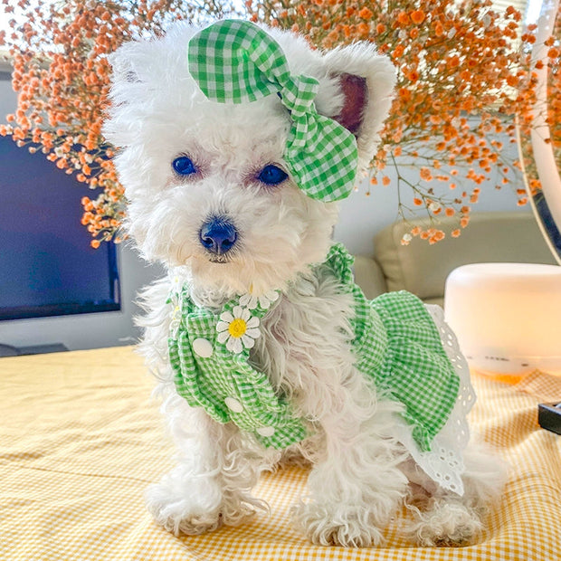 Dog Skirt Teddy Bichon Pomeranian Puppy Cat Pet Summer Thin Mini Sundress Dog Clothes Princess 1627207:12809780809#122216750:8199557611 $ Beautiful collection under $10 IPPA Phones