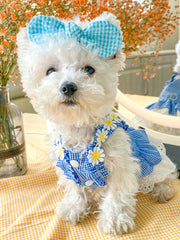 Dog Skirt Teddy Bichon Pomeranian Puppy Cat Pet Summer Thin Mini Sundress Dog Clothes Princess 1627207:12809780809#122216750:8199557611 $ Beautiful collection under $10 IPPA Phones