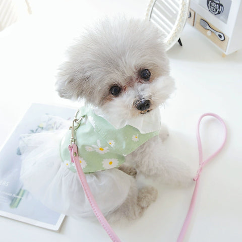 Pet Bichon Cat Poodle Dog Clothes Spring and Summer Clothes Spring Princess Dress Female Canine Daisy Traction Skirt