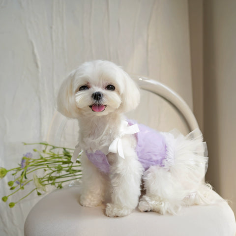 Bowww Pet Fairy Umbrella Princess Dress Spring/Summer Bichon Yorkshire Maltese Dog Clothes Thin