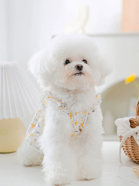 Flying Sleeve Floral Princess Dress Dog Clothes Summer Thin Teddy Bichon Yorkshire Pet Summer 1627207:28320#122216750:2644243138 $ Beautiful collection under $10 IPPA Phones