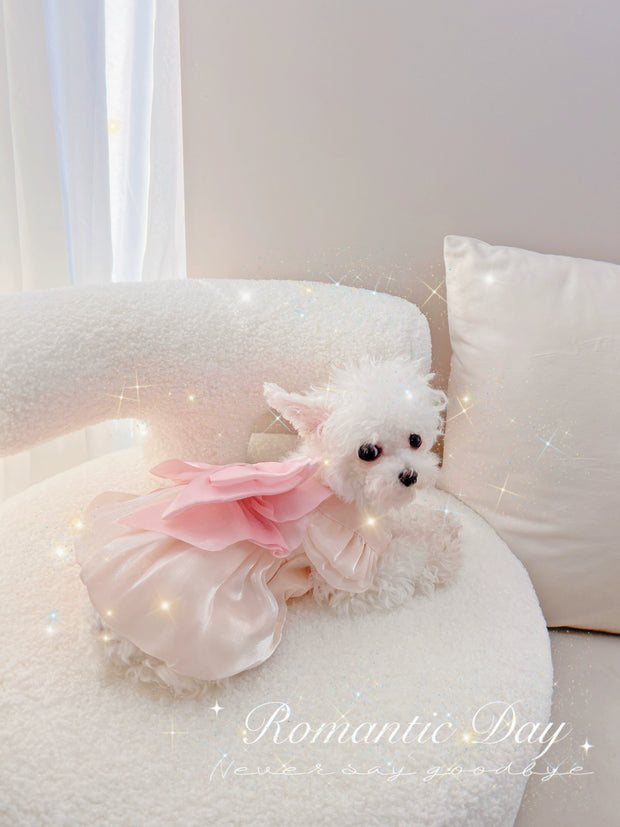 Teddy Pet Maltese Handmade Bichon Princess Dress