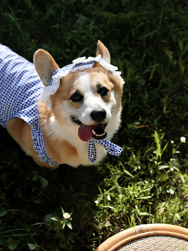 Pet Dress with Hat Fat Dog Clothes Summer Thin Breathable Plaid Skirt Suit Corgi Medium-Sized Dog