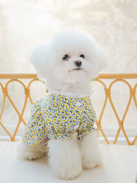 Floral Dog Clothes Spring/Summer Thin Teddy Bichon Pomeranian Cat Pet Small Puppies Summer Princess Skirt 1627207:26086449#122216750:5577183668 $ Beautiful collection under $10 IPPA Phones