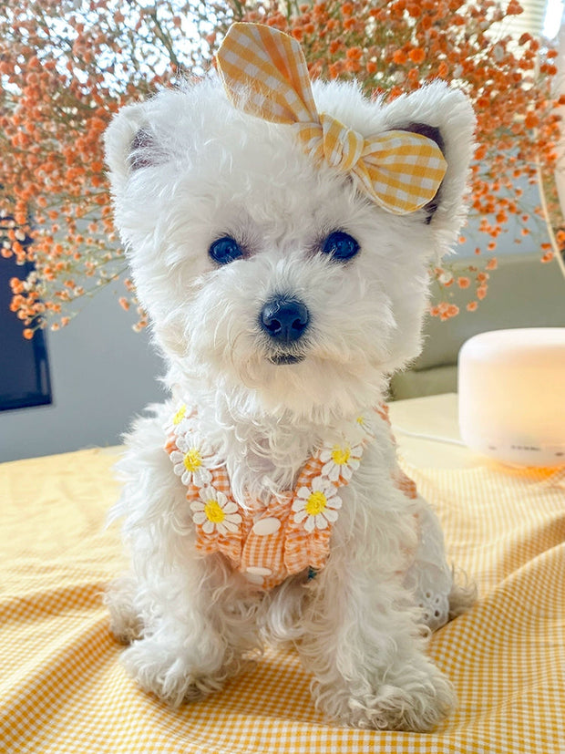 Dog Skirt Teddy Bichon Pomeranian Puppy Cat Pet Summer Thin Mini Sundress Dog Clothes Princess 1627207:12809780809#122216750:8199557611 $ Beautiful collection under $10 IPPA Phones