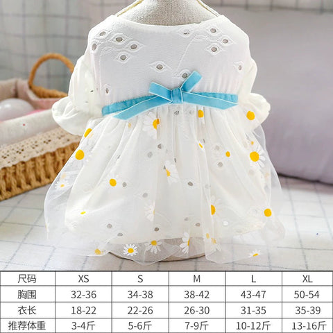 Choose 3 Dog Clothes Clothes Pet Cat Dress Teddy Bichon Skirt Princess Dress Pettiskirt 1627207:18699267437#122216750:12788677537 $ Beautiful collection under $10 IPPA Phones