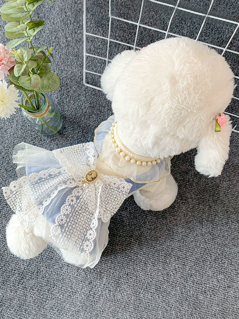 Dog New Year Clothes Classic Style Traction Cute Princess Pet Cat New Year Dress Teddy Fall and Winter Heattech Dress