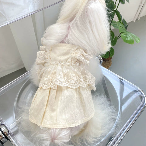 KZ Homemade Light Oat Color-Color Lace Skirt South Korea Maltese Small Size Dogs Pack Pet Dog Clothes Spring & Fall