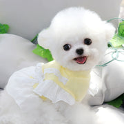 Teddy Puppy Princess Skirt Spring and Summer Thin Summer Clothes Pet Chihuahua Small Puppies Bichon Pomeranian