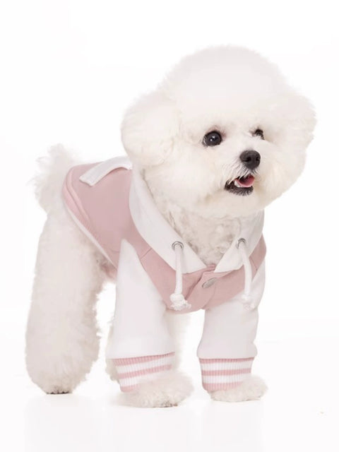 Sniff Pet Dog Cat Autumn and Winter Color Stitching Hoodie Teddy/French Bulldog Bichon Small and Medium-Sized Dogs Clothes