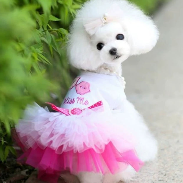 Dog Clothes Autumn Teddy Bichon Pomeranian Small Dog Pet Princess Dress Spring and Autumn Clothing Thin Trendy