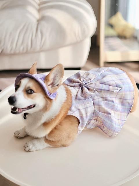 Pet Sleeveless Dress JK Fat Dog Clothes Spring and Summer Thin Breathable Sweet Vest Skirt Corgi Medium-Sized Dog