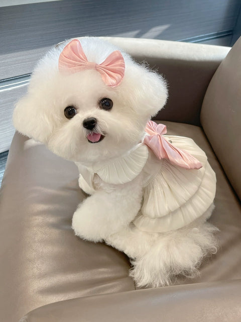 Pet Clothes Summer Thin Breathable Streamer Yarn Princess Skirt Teddy Bichon Dog Cat out Traction