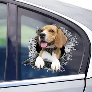 Beagle window sticker, car sticker, Beagle car decal