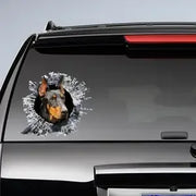 Doberman window sticker, car sticker, black Doberman car decal