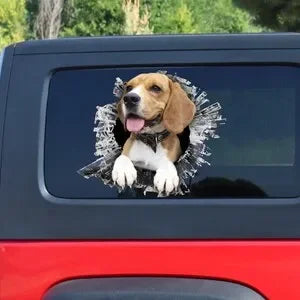 Beagle window sticker, car sticker, Beagle car decal