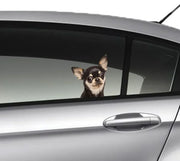 funny chihuahua car window sticker , 3D sticker, funny sticker, chihuahua decal