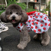 Printed Bow Pet Dog Dress Cute Chihuahua Princess Skirts Pet Dress For Small Medium Dogs Skirt Dog Wedding Dresses York Clothes