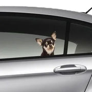 funny chihuahua car window sticker , 3D sticker, funny sticker, chihuahua decal