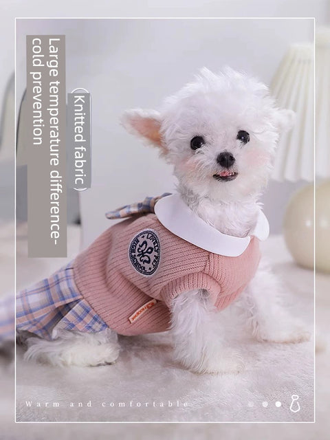 Puppy Clothes Autumn JK Princess Dress Bichon VIP Small Size Dogs Pomeranian Cat Skirt Autumn and Winter Pet Puppy