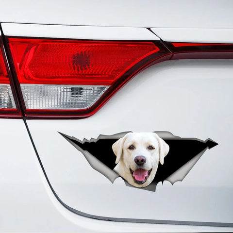 White Labrador 17CM\20CM Self-adhesive Decal Car Sticker Waterproof Auto Decors on Bumper Rear Window Laptop # S60497