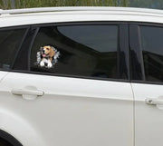 Beagle window sticker, car sticker, Beagle car decal