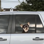 funny chihuahua car window sticker , 3D sticker, funny sticker, chihuahua decal