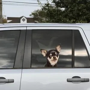 funny chihuahua car window sticker , 3D sticker, funny sticker, chihuahua decal